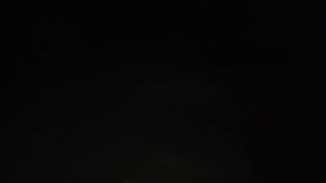 Лучезарные алабай Флора и метис овчара Генрих. Ищут дом. Приют для животных Сириус в Киевской обл. смотреть онлайн