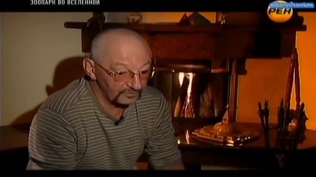 Подводная жизнь бездны Нечто галактики  Из первых уст Общие предки Земли Звук воды Странное явление