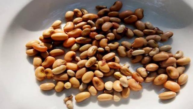 Книга рецептов