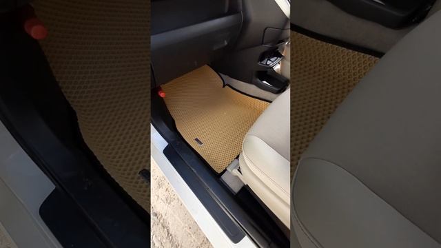 Коврики 3D на Toyota Wish