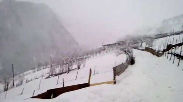 нетипичная цунта