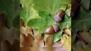 Отличная терапевтическая сказка для детей и подростков.
