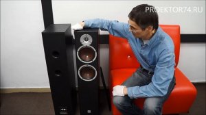 Обзор напольной акустики Dali SPEKTOR 6