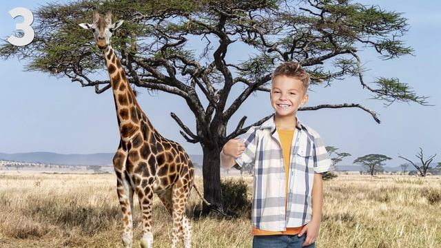 5 Tall Facts About GIRAFFES | 5 FACTS смотреть онлайн