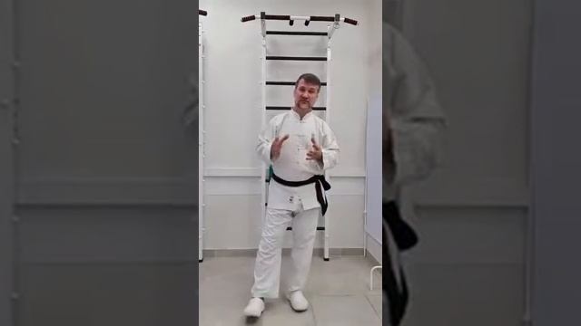 108 длинная форма тайцзи смотреть онлайн