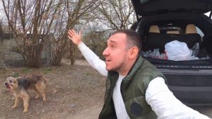 Остался ОДИН ЩЕНОК! Кормим бездомных животных / котята и кошки, щенки и собаки ждут спасение.