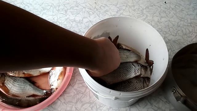 Вяленая плотва своими руками. Пошаговый рецепт засолки плотвы. Рецепт приготовления вяленой рыбы смотреть онлайн