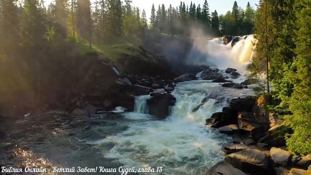 Библия Онлайн - Книга Судей, глава 13 смотреть онлайн