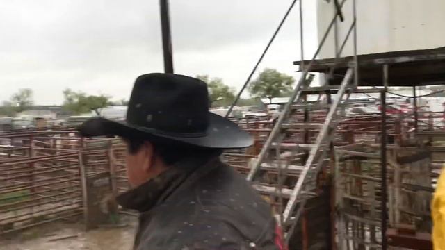 Sat,Wild Horse Race 2019 смотреть онлайн