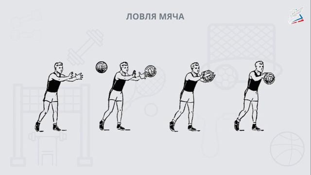 Баскетбол. ловля и передача мяча в парах на месте, в движении ведение смотреть онлайн