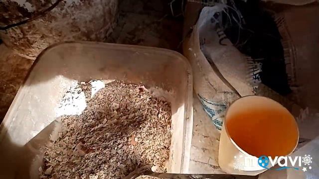 Осушитель в подстилку курочкам добавили. смотреть онлайн