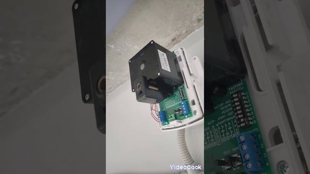 24 ноября 2023 г. смотреть онлайн