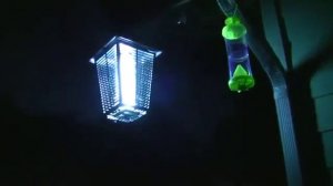 Антимоскитная лампа в действии