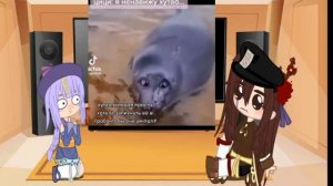 Реакция Цици и Ху Тао на самих себя в Tik Tok! Genshin Impact))