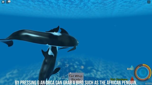 UPCOMING Sea life Roblox Animal Game | ROBLOX смотреть онлайн