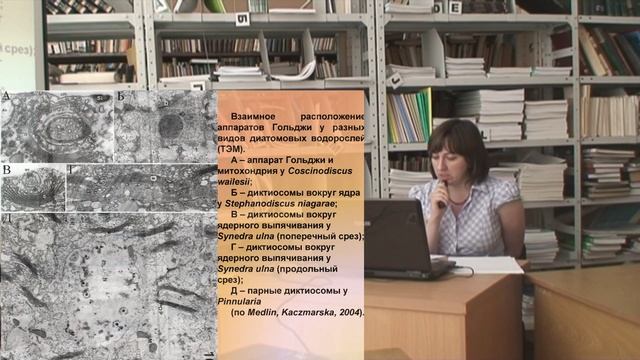 Цитология диатомовых водорослей (Лимнологический институт СО РАН) смотреть онлайн