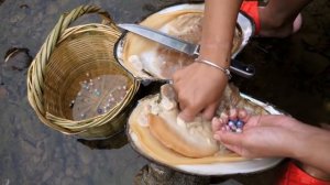 Добыча жемчуга (смотреть всем)