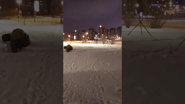 Санкт-Петербург Осенний марафон