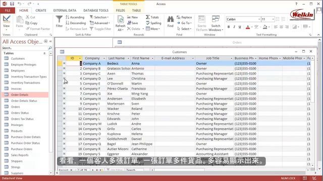 Microsoft Excel vs. Access - Welkin IT Training Video смотреть онлайн