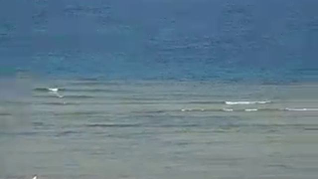 ПАНОРАМА ЕЛЬ КУСЕЙР смотреть онлайн