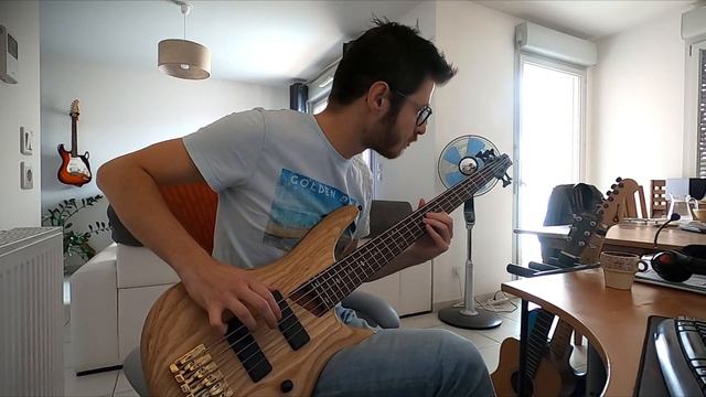 Will Wood & The Tapeworms - Mr. Capgras Encounters A Secondhand Vanity (Bass Cover)