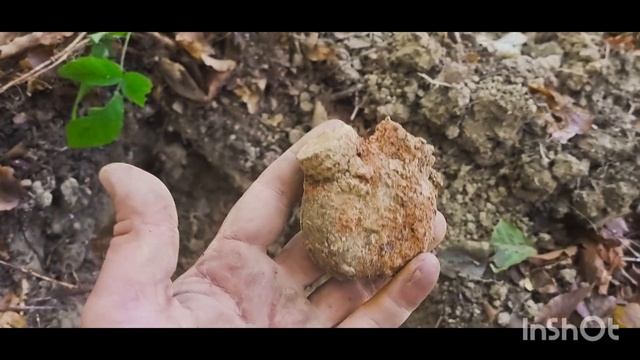 коп в лесах Краснодарского Края