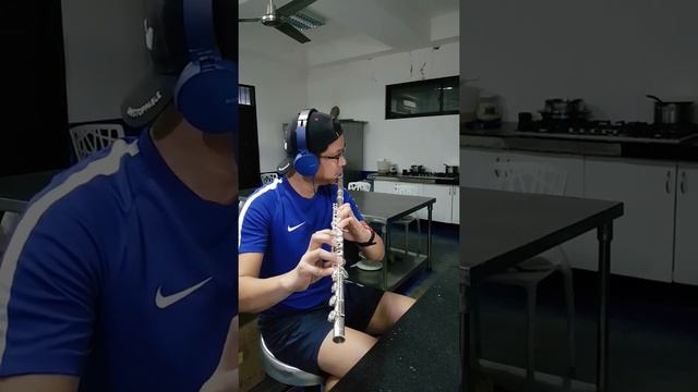 Someone You Loved - Luis Capaldi - kitchen harmony - flute cover смотреть онлайн