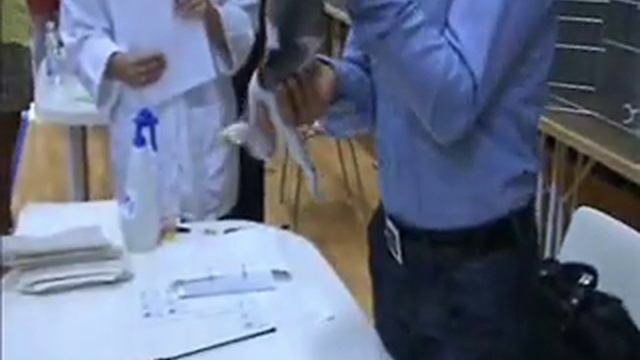 Devon Rex litter Best In Show смотреть онлайн