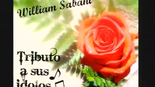 William Sabaní tributo a sus ídolos Una lágrima en tu rostro смотреть онлайн