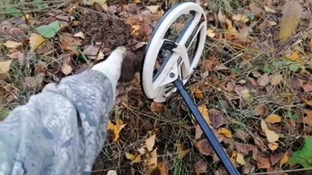 Даже не надеялась на такую находку! Осенний поиск клада! смотреть онлайн