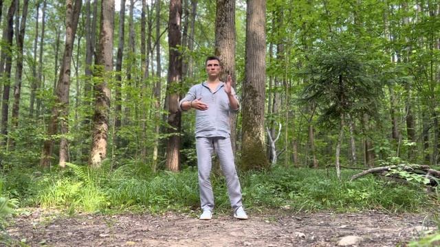 Муладхара ЧАКРА, Набор и Распределение энергии ЗЕМЛИ, Медитация в Динамике смотреть онлайн