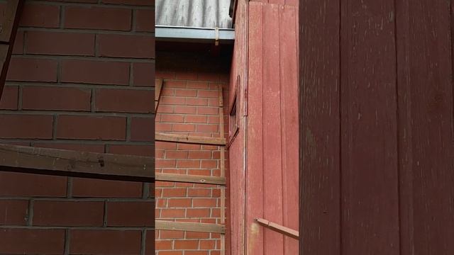 Садовый участок в черте города Екатеринбурга - можно даже на городском транспорте добраться