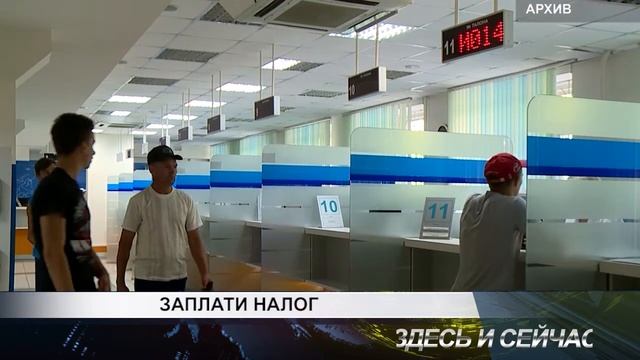 заплати налоги смотреть онлайн