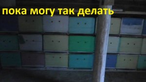 потихоньку заношу пчёл в зимовник