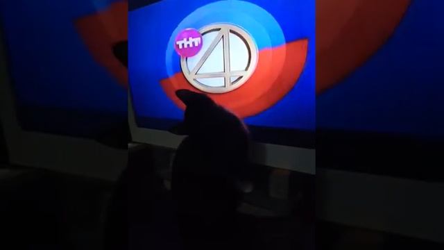 Ну и где эта земляная собака？ смотреть онлайн