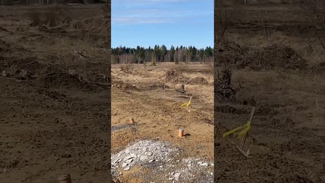 Усадьба в Вартемягах. Видеообзор участка №204 смотреть онлайн