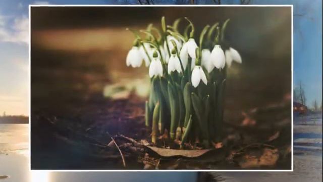 Весеннего настроения ! смотреть онлайн