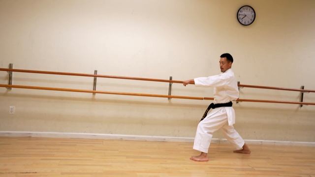 Kata Taikykoku Shodan Full Tutorial смотреть онлайн