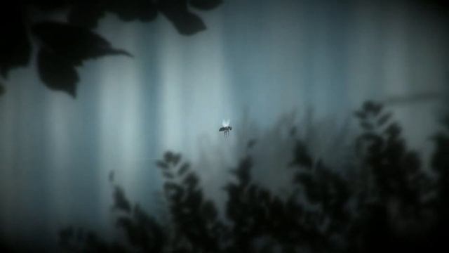 The Plan(в чем смысл жизни мухи) 1 часть смотреть онлайн