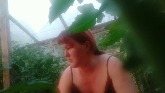 Всего по немного. С ночной сложно что делать. Строим дом своими руками. Почистила лук. смотреть онлайн