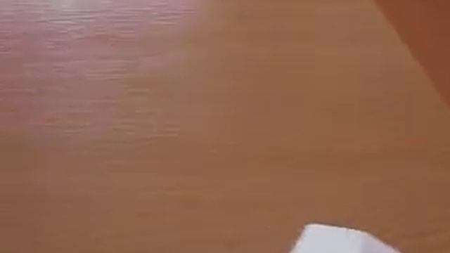 22.09.17: Апелляционный суд Харьк. обл. (на видео) и Московский райсуд Харькова (по телефону). смотреть онлайн