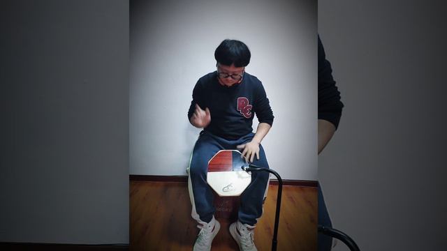 GECKO Mini Cajon  SD6 Cover --Chen Tong