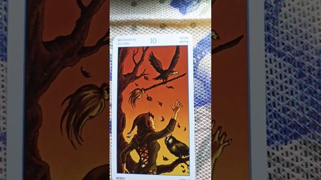 10метлы(мечей)#shorts#обучение таро#таро юнных ведьм #значение карты смотреть онлайн