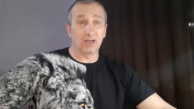 Усик - Фьюри : Опасно или нет. смотреть онлайн