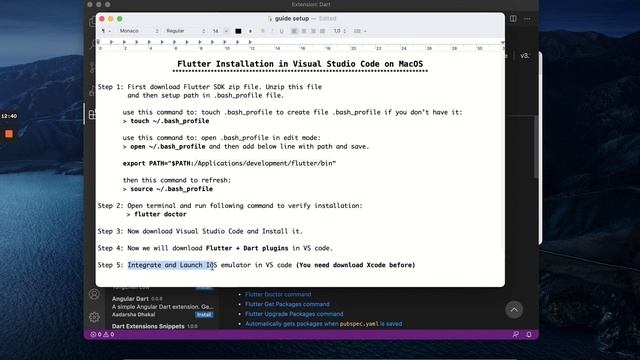Flutter: Setup & Run with Visual Studio Code on MacOS смотреть онлайн