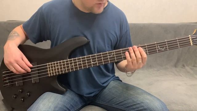 Schecter Damien 5 Diamond Series смотреть онлайн