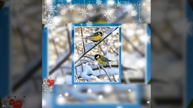 День Синички 12 ноября смотреть онлайн