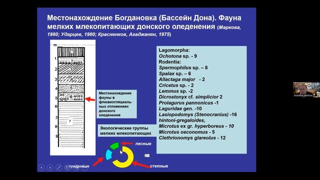 Семинар №13. Спорные вопросы стратиграфии и палеогеографии Восточно-Европейской равнины смотреть онлайн