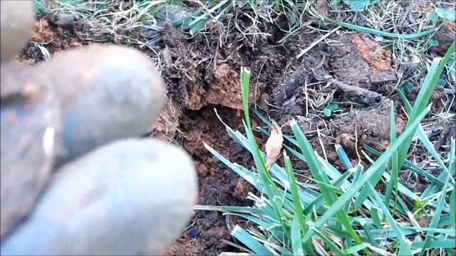 Empty Lot Full Hands - Metal Detecting Relic Hunting Old Homesite & Empty Lot with Minelab Etrac смотреть онлайн