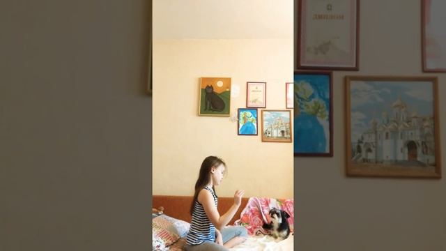 Как быстро приучить собаку к командам смотреть онлайн